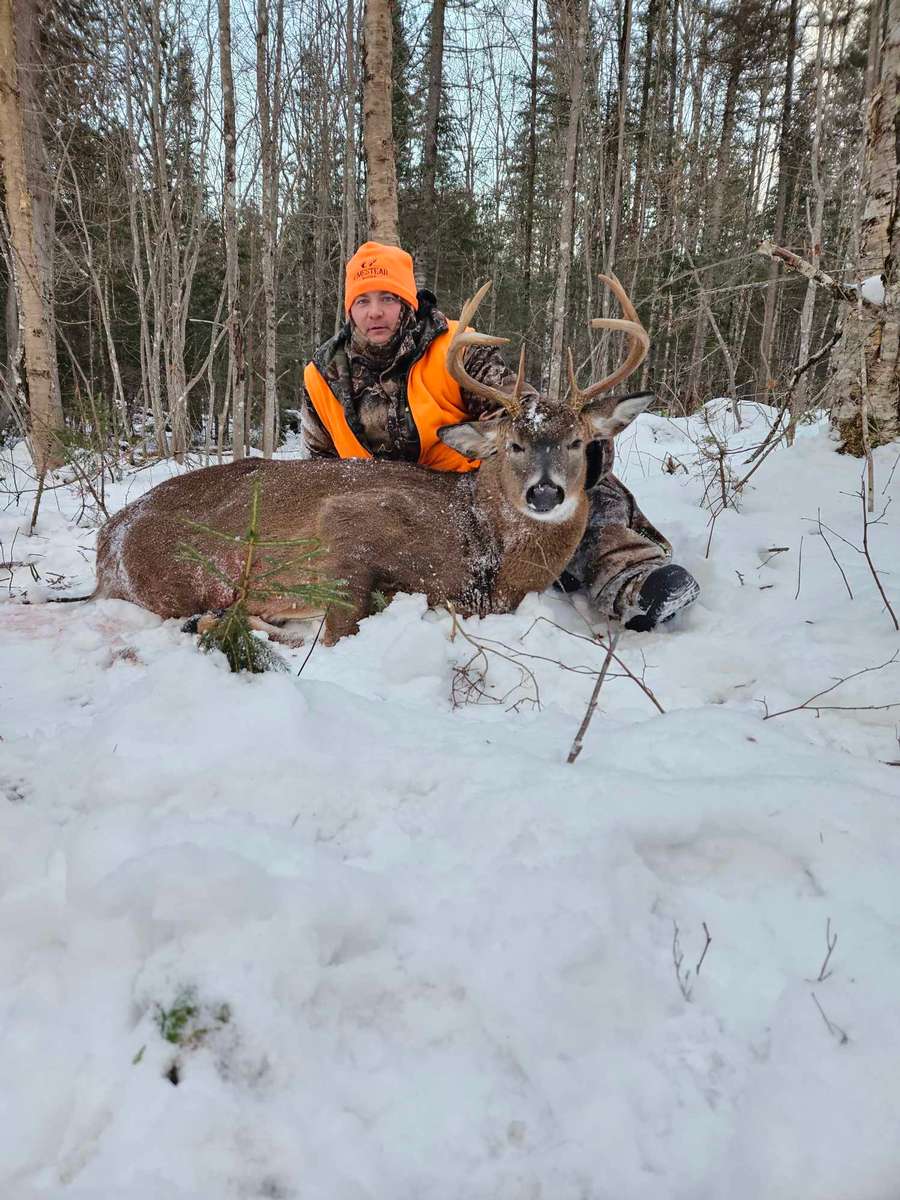 Self Guided Whitetail Hunts Self Guided Whitetail Hunts